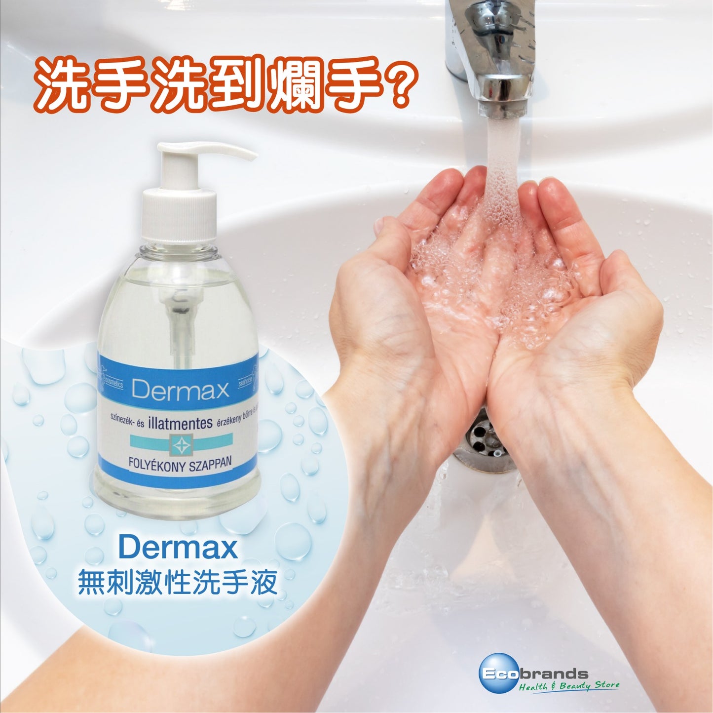 Dermax 洗手液 300ml（3 件套）